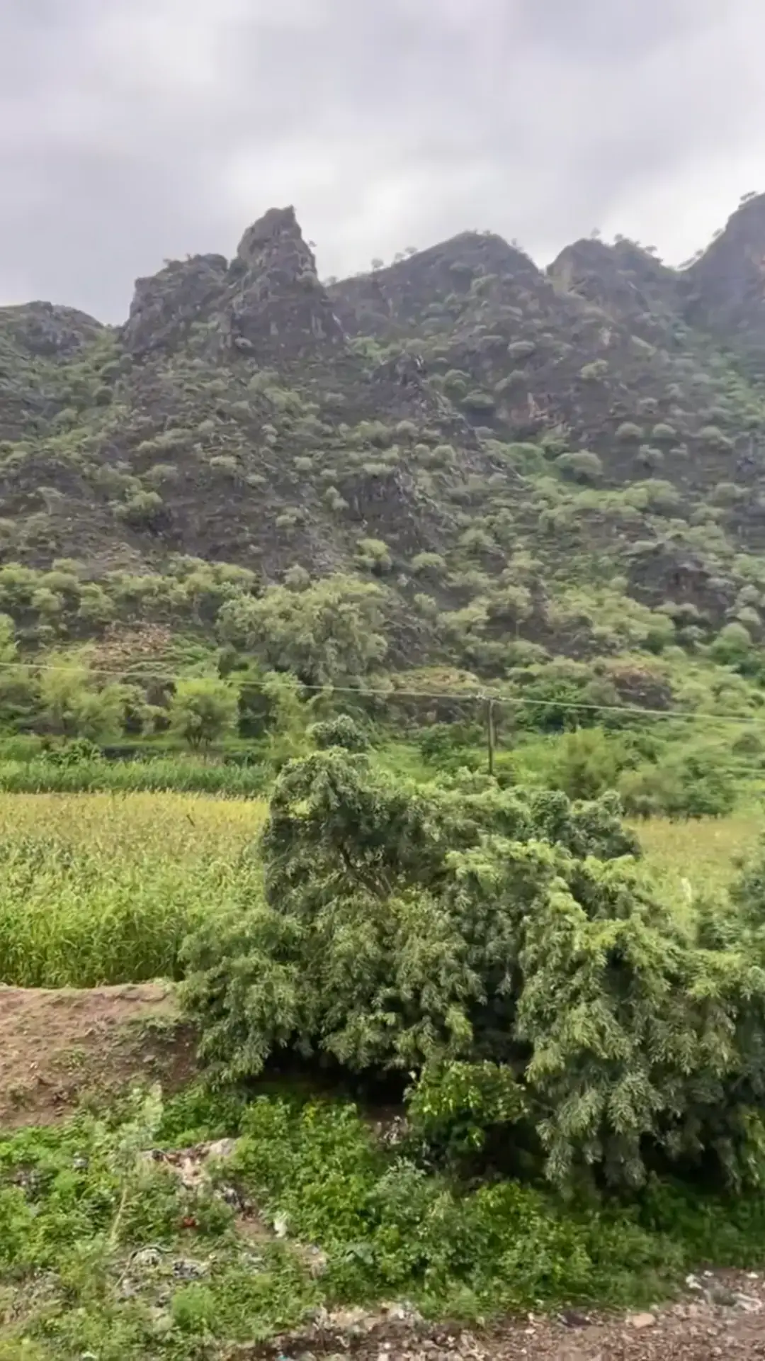 #الماضي #الطبيعه #الحنين 