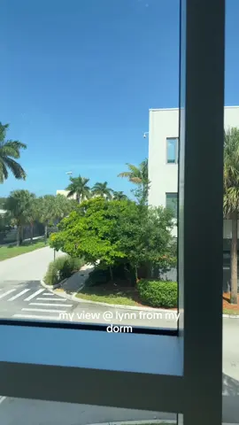 #lynnuniversity #college #collegedorm 