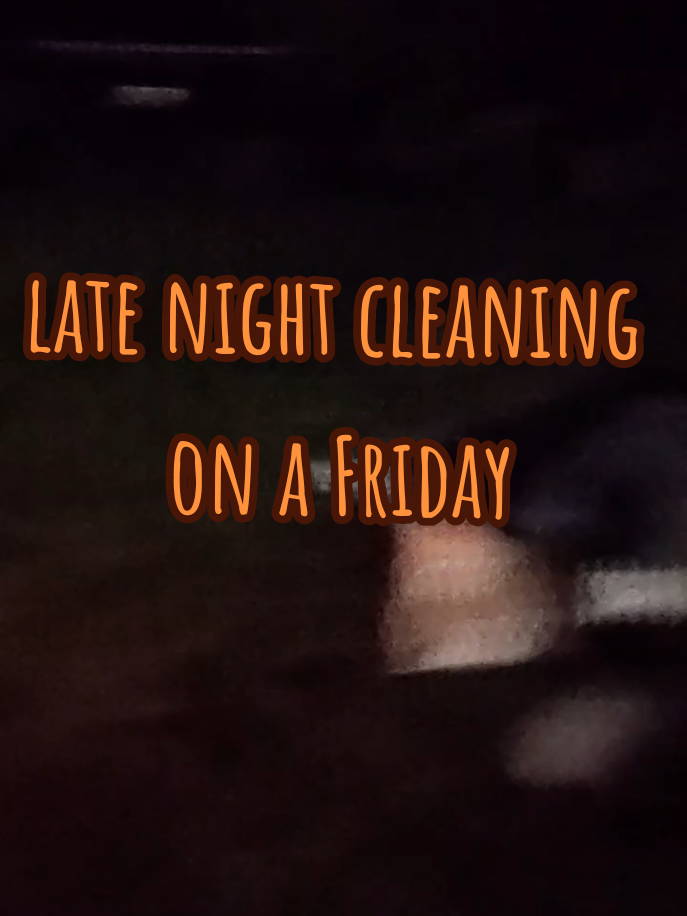 your doing the late  cleaning up on a Friday night #fyp #washington #duet #furry #furryfandom 
