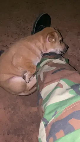 យាមកណ្តាលយប់