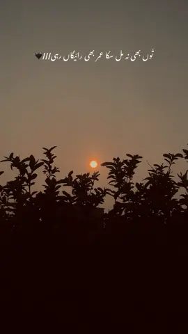 خود سے بڑے گلے رہے!!!⚡️🥀🖤👩🏼‍🤝‍👨🏾ہاۓ زخمی!!!🦋🍁#viral #growmyaccount✅ #foryoupage😖⚡️ #unfrezzmyaccount #officialocunt #🖤🥀🦋🤍✨️🖇️ #viewsproblem 