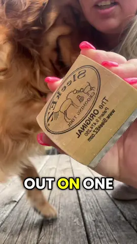 Goldens + 1 brush = hair GONE  🐶Holy Grail🐶 #dogsoftiktok #shedding #goldenretriever #dogmom 