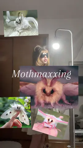 Grwm to be moth.. everything must become insect #moth #makeup #bug 
