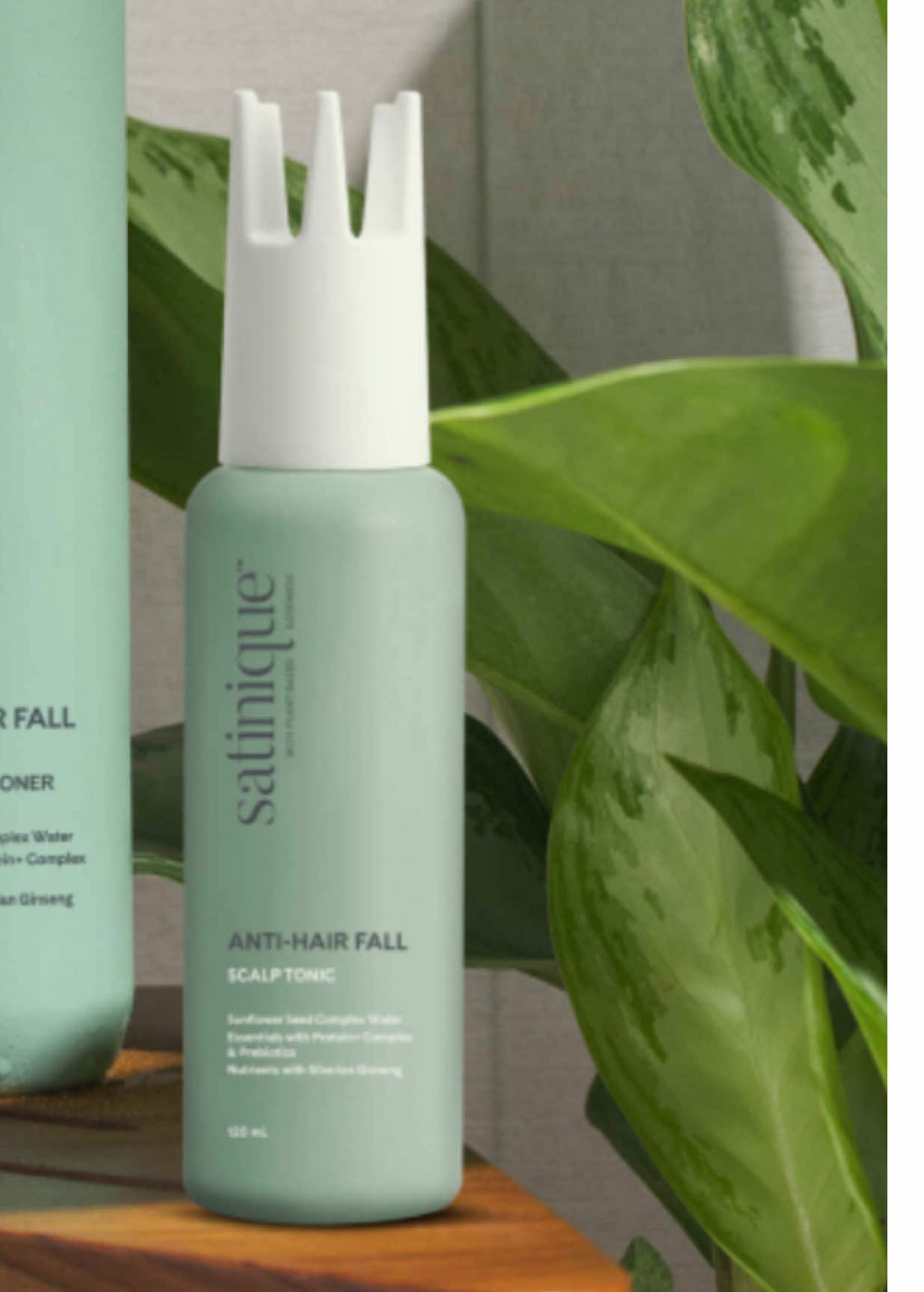 ✨Tónico Anticaída para el Cuero Cabelludo  La clave para conseguir cabello de aspecto saludable es nutrirlo desde la raíz. Anticaída del cabello Satinique™ – tónico para el cuero cabelludo ayuda a fortalecer el cabello mientras previene la pérdida causada por quiebres. Elaborado con propiedades basadas en plantas y tecnología avanzada, esta fórmula vigorizante contiene ginseng siberiano que aporta beneficios calmantes y brinda un cabello con mayor volumen y más grueso. #amwayproducts #caidadecabello #paralacaidadecabello #crecimientodelcabello 