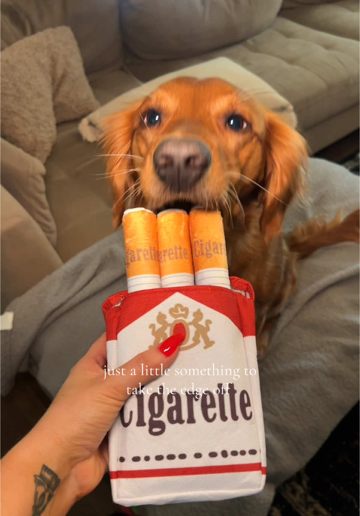 But seriously how cute are these 