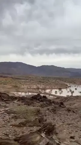 يهناككم الحياء♡ #تصويري_احترافي_الاجواء👌🏻🕊😴 #مجرد________ذووووووق🎶🎵💞 