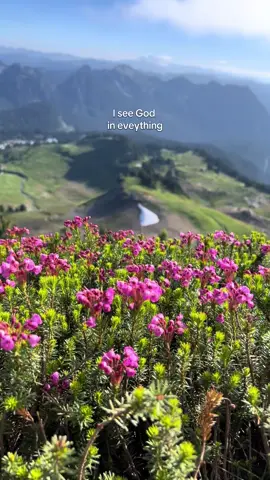 Watch until the end 