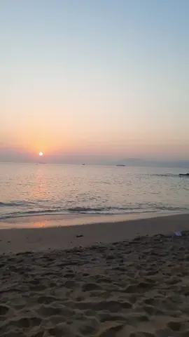 YA ZAHRI SKATE 😶👌🏻 #الشعب_الصيني_ماله_حل😂😂  #capcut #fypシ  #الجزائر #skikda 