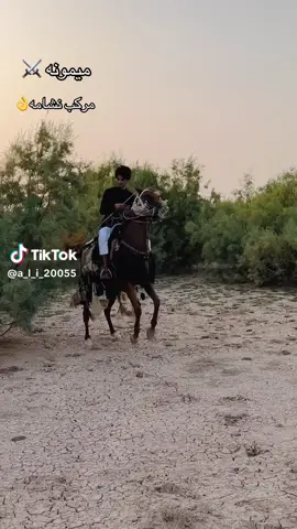 #العراق_ميسان_قضاء_علي_الغربي #المشرح #اصايل_العماره❤️☘️ #خيل_وخياله🐎 #ميمونة 