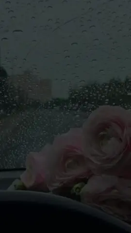 #CapCut ##### كل ماداقت فيك الدنيا اسمع الايه 😭😭