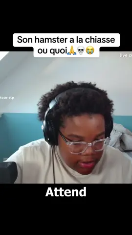 Twitch: kojy08 #humour#hamster#trend#animal  