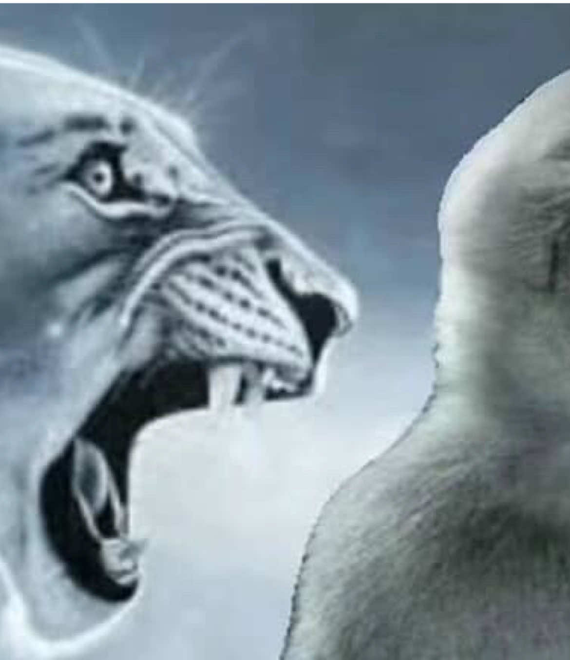 anyways how we feelin ab the eyebrows, they gud? #fyp #dreaming #foreverinreverie 