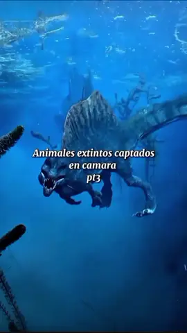 Animales extintos captados en camara🐊 #mystery #mosasaurus #dinosaur #foryou #paratii 