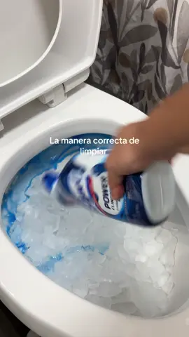 #limpiando #CleanTok #cleaning #toiletscrub 
