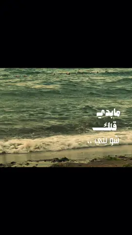 #مابدي_قلك_شوبني #تصويري📸 #اكسبلور 