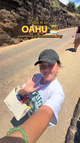 here’s everything you need to know about going snorkeling at Hanauma Bay!! 🐚🦭 #hanaumabay #oahu #hawaii #snorkeling #travel 