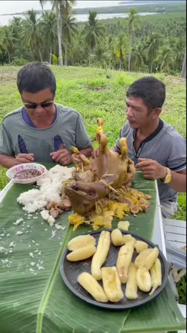 Perro rostizado un manjar 😋👌🦮#fyppppppppppppppppppppppp #fypシ゚ #fypp #paratiiiiiiiiiiiiiiiiiiiiiiiiiiiiiii #paratodos 