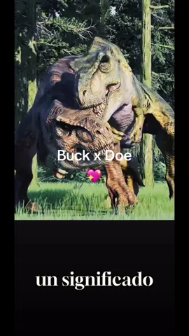 #buckxdoetrex #JurassicWorldRabbit #dinosaurios #enamoradotuyo#fypシ゚ 