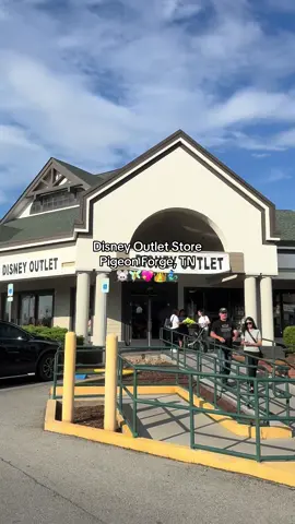 A must do if you’re visiting the Great Smokey Mountains!!  #disney #disneyworld #disneystore #fyp #viral 
