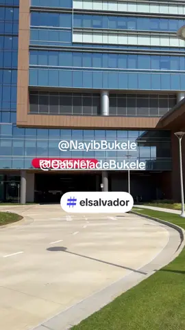 #bukele 