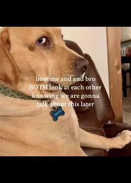 #fyp #side #eye #sideeye #bombasticsideeye 