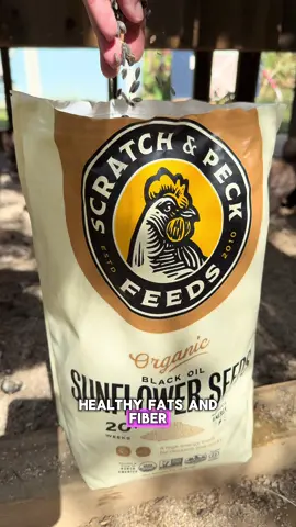 @Scratch and Peck Feeds has great feed and snacks for your flock! Check them out and tell them I sent you by using my code … 🐔purelychickens15🐔  You can use it 3 times!  #chickens #purelychickens #scratchandpeckfeeds #scratchandpeck #organicchickenfood  