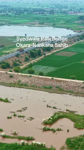 Syadwala Bridge Okara Nankana Sahib #syadwala #jaranwala #jaranwala_boy #okara #okaralover💪💪❤️ 