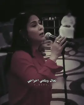 تعبت🚶🏻‍♀️@نوال  #fypシ゚ #explor #foryou #اكسبلورexplore #نوال_الكويتيه 