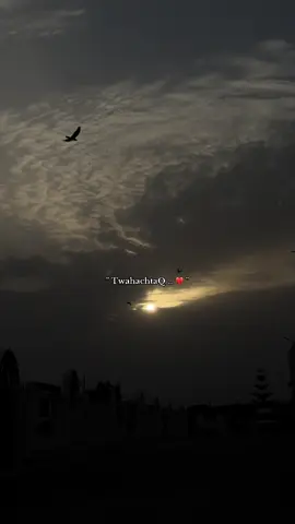 #CapCut #foryou #foryoupage #for #اكسبلور 