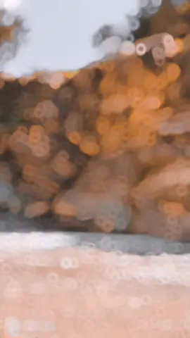 #ad #lovetiktok #mynew #viral #viralvideo #tiktokteam #fory #for #forypupage #follo #like please 🥺 🙏 #unfreezemyacount @ahmad lala @basit badizai @junaidlehri465 @꧁❤️ᗑß∂űʆʆᤂᏥ❤️꧂꧁,👑_𝕂𝕀ℕ𝔾_👑꧂ @khan @BaRecHxaDa_SkB @imrantajik75 @🌷KHALID🌷BIN🌷WALEED🌷 @imran kahn jan804 