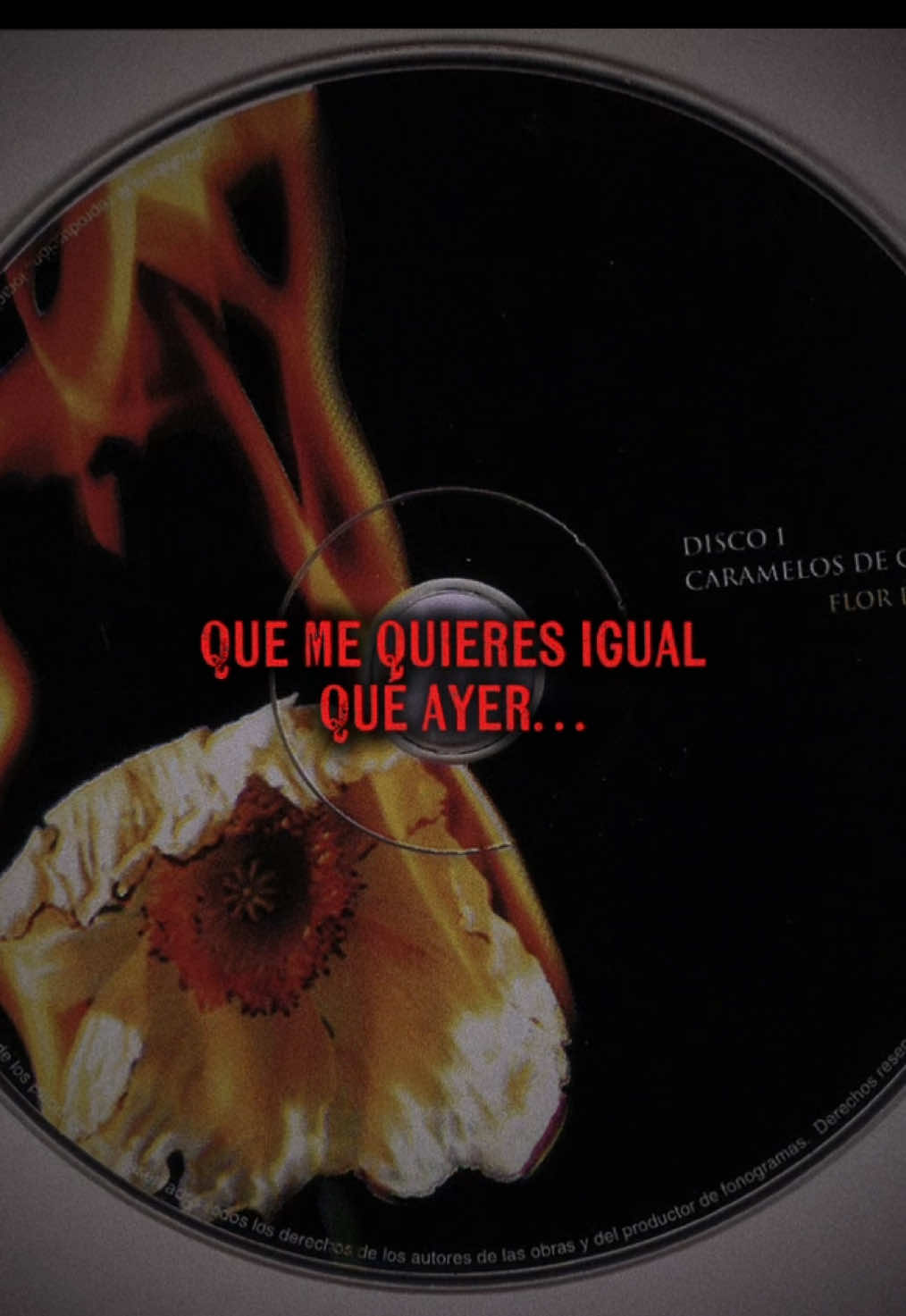 Guerra Lenta-Caramelos de Cianuro #flordefuego🔥 #caramelosdecianuro #venezuela🇻🇪 #paratiiiiiiiiiiiiiiiiiiiiiiiiiiiiiii #foryou 