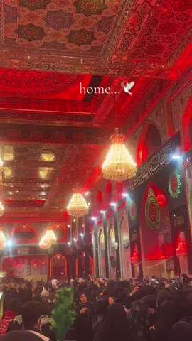 home ❤️‍🩹 #karbala #arbaeen #🏴 #313 #foryou 