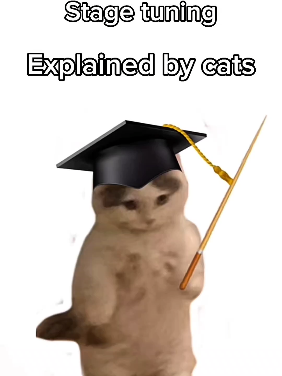 Kitty explains what is stage tuning  😺 #usa #cats #mechanic #cars #fyp  