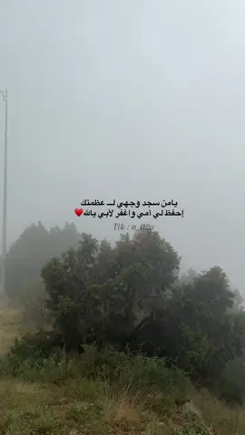 #tiktok #explore #الجنوب #امي #اللهم_ارحم_فقيد_قلبي💔🥀 