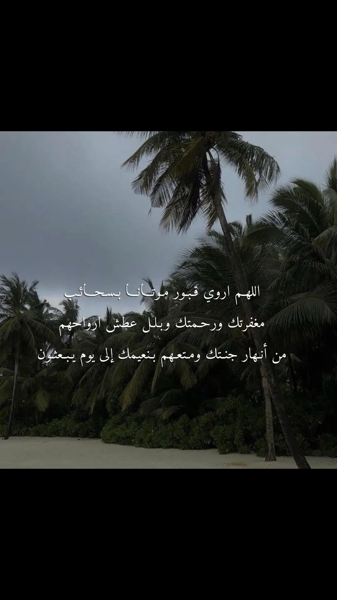 #اكسبلور #امواتنا #fyp #explore #يارب_يطلع_اكسبلووور 