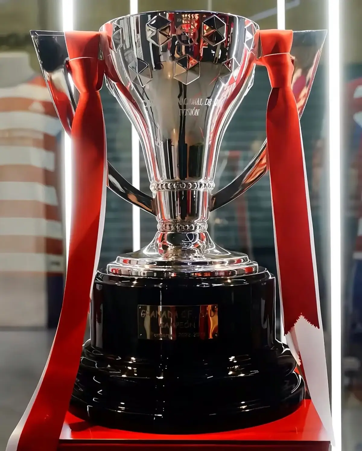 All Football leagues with their finalists of all years. #footballtiktok  #footballviral  #leaguescup 