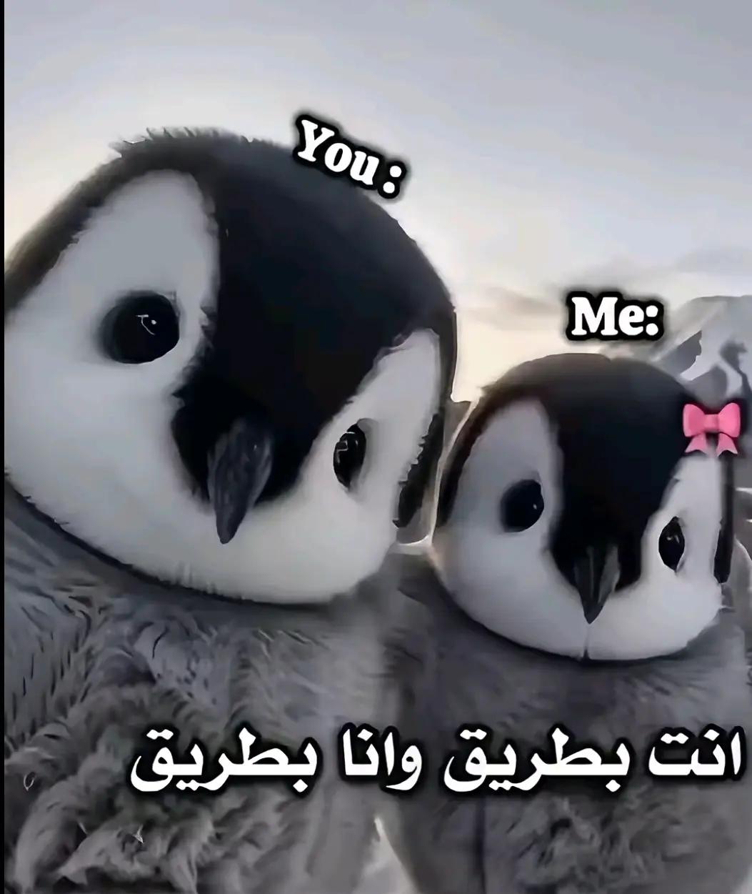 @ڪيآرٍ 🫶🏻😔💔