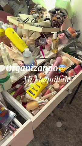 #plasticdrawerorganizer #plasticorganizer #organizersformakeup #organizadoresdeplastico #RushReady2025 