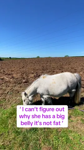 True words said many times #unplannedpregnancy #confused #secret #minifoal #2025 #strawberryshortcake #trends #surprisegift #forever #ponies #fyp #fyppp #foru #shetty 