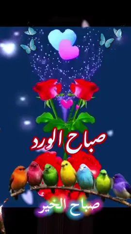 #دعاء #صباح #الاثنين  #صباحكم_معطر_بذكر_الله💚🌹🌿🌷😍🌸🙏 #🤲🤲🕋🕋🤲🤲 