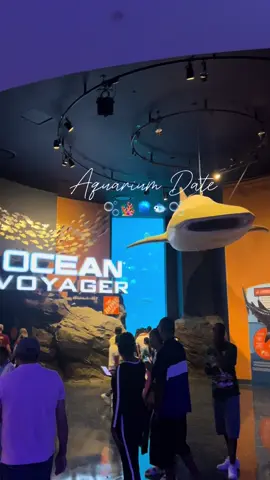 Come with us to Georgia Aquarium 🐠🐬 #georgiaaquarium #aquarium #fyp #diandrovlog 