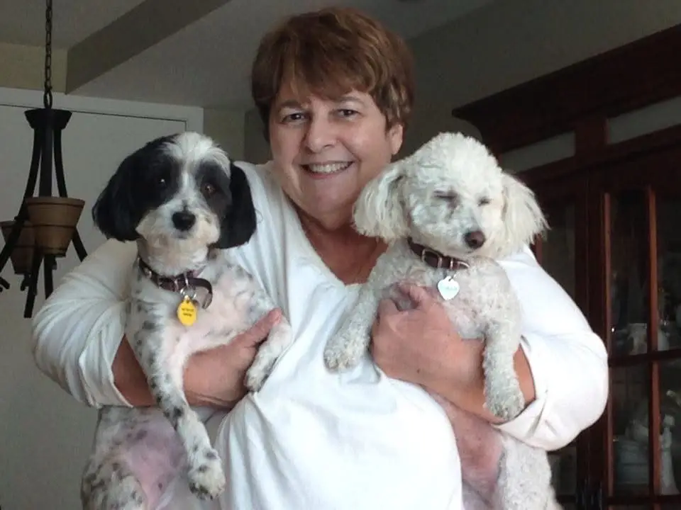 Today we’re saying goodbye to my mother’s dog, Dominique. We started caring for Dominique and my mother’s poodle, Bella, after my mom passed. Bella left us a few years ago at the ripe old age of 17.5. Dominique lasted to be 15.5 and would keep going but her tiny kidneys have run their course. These dogs taught me a love I never knew existed. I’m going to miss Dominique so but I’m incredibly happy that she gets to be reunited with my mother and Bella again. 🐾❤️