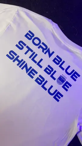 Born blue, still blue, shine blue 🥶 #persib #champions #persibbandung #kaospersib #bobotohpersibbandung 
