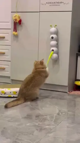 Automatic caterpillar toy.😀 Link in the bio!! #nexuselecro #fyp #musthaves #catsoftiktok #cattoys 