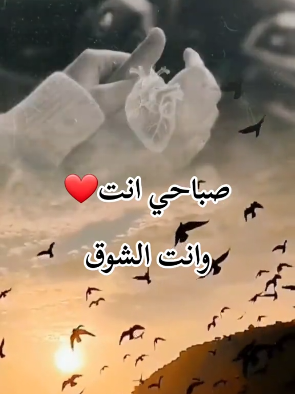 صباحي_إنت_والشوق_إلك#❤️ #flowerdiaa  #صباحي_انت #الشوق_إلك #حبك_حياة #ForYou #fyp #عشاق_تيكتوك #حب_ابدي #صحاك_الشوق 