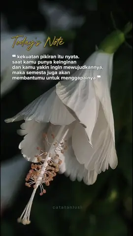 Kekuatan pikiran itu nyata adanya  #katabijak #motivasi #selfreminder #kekuatanpikiran  #semangatberjuang 