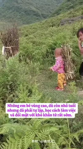 Mỗi bước chân nhỏ của em, là một lời nhắc nhở về sức mạnh của những đứa trẻ vùng cao 🥰 #doisong #xahoi #ynghia #viral #thinhhanh 
