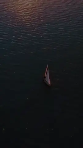 #CapCut 