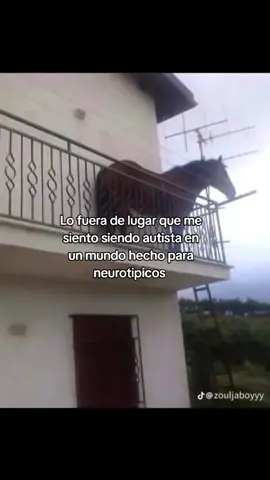 #espectroautista #autismo #neurodivergente #fyp #mujerautista 