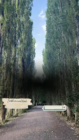 #CapCut #quranrecitation #quranverses #islamicvideo #islamtotheworld 